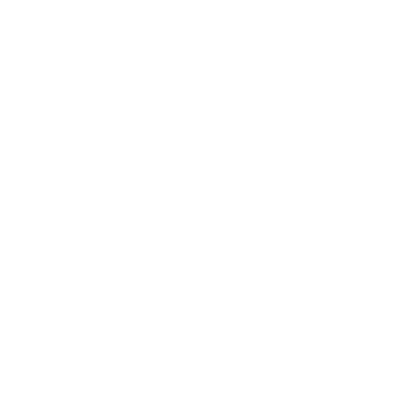 Romanian Business Leaders